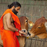 Patanjali locations in India