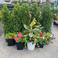 Your Independent Grocer store locations in Canada